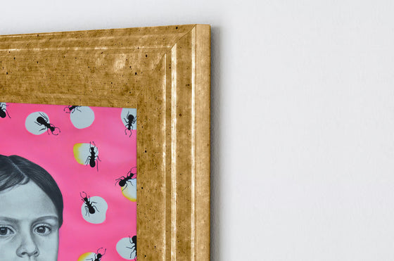 Golden framed charcoal artwork of a resilient innocent girl, with a fluoroscent pink background and big black ants, on a white wall